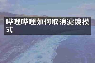 哔哩哔哩如何取消滤镜模式