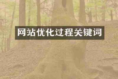 网站优化过程关键词