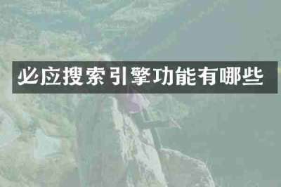 必应搜索引擎功能有哪些