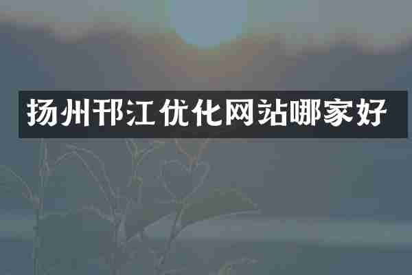 扬州邗江优化网站哪家好