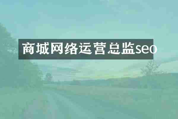 商城网络运营总监seo