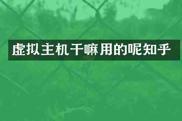 虚拟主机干嘛用的呢知乎
