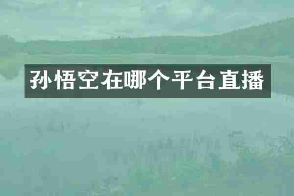 孙悟空在哪个平台直播