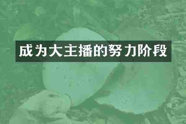 成为大主播的努力阶段