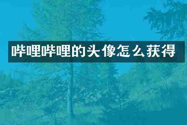 哔哩哔哩的头像怎么获得