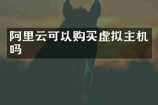 阿里云可以购买虚拟主机吗