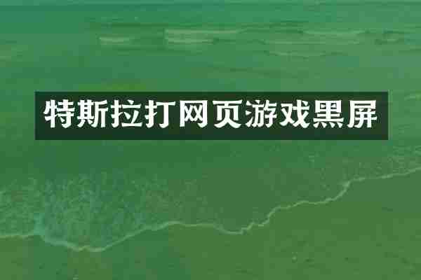 特斯拉打网页游戏黑屏