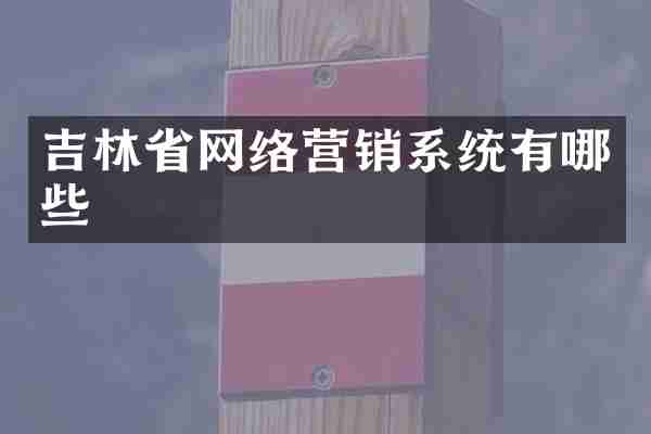 吉林省网络营销系统有哪些