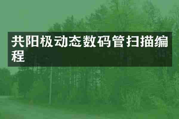 共阳极动态数码管扫描编程