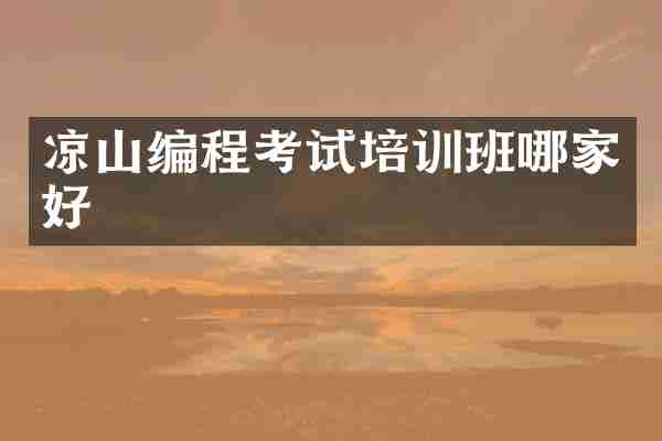 凉山编程考试培训班哪家好