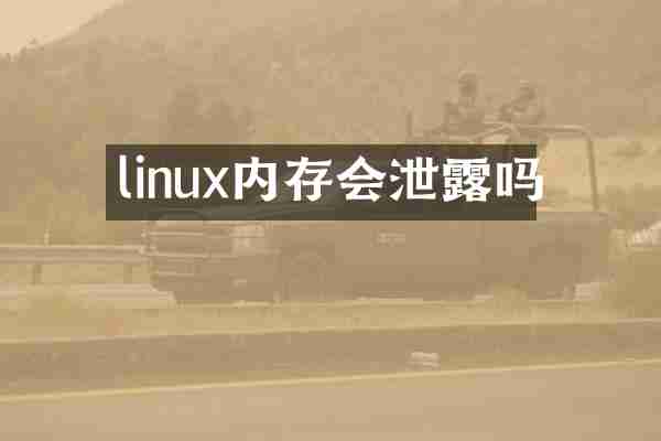 linux内存会泄露吗