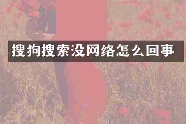 搜狗搜索没网络怎么回事