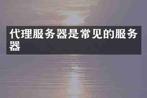 代理服务器是常见的服务器