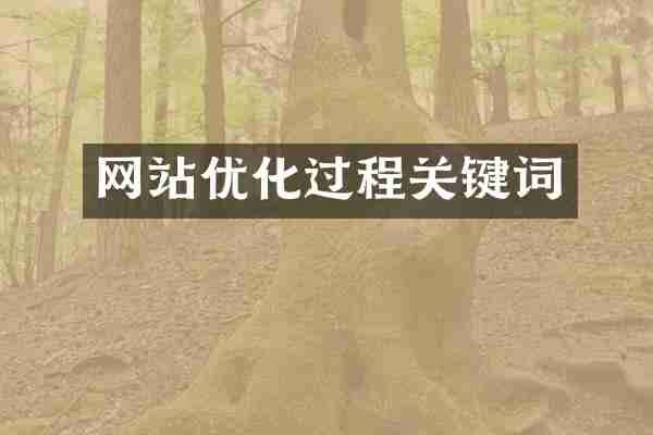 网站优化过程关键词