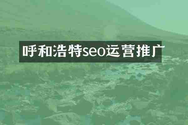 呼和浩特seo运营推广