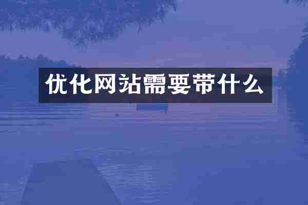 优化网站需要带什么