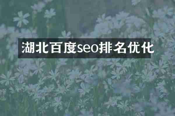 湖北百度seo排名优化