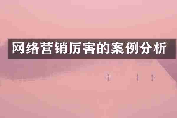 网络营销厉害的案例分析