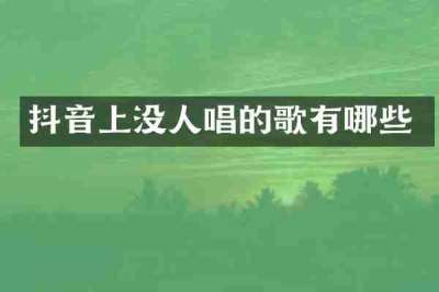 抖音上没人唱的歌有哪些