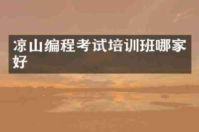 凉山编程考试培训班哪家好