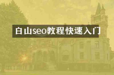 白山seo教程快速入门