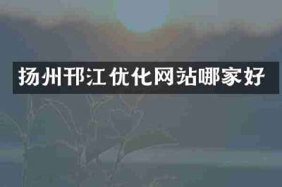 扬州邗江优化网站哪家好