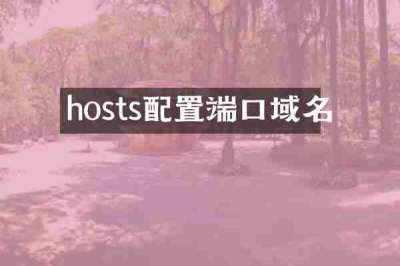 hosts配置端口域名