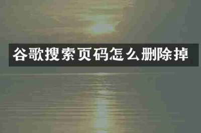 谷歌搜索页码怎么删除掉