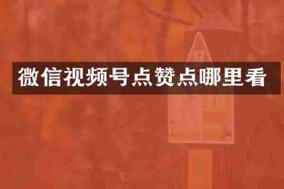 微信视频号点赞点哪里看