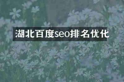 湖北百度seo排名优化