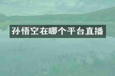 孙悟空在哪个平台直播