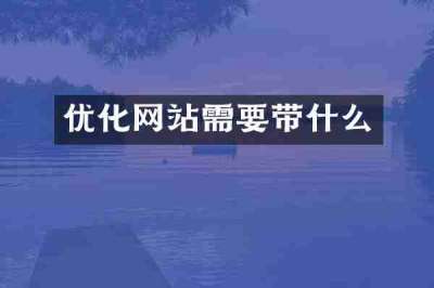 优化网站需要带什么