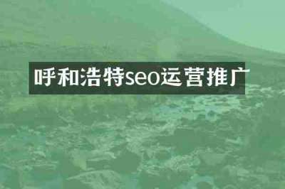 呼和浩特seo运营推广