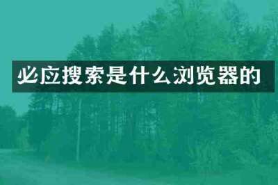 必应搜索是什么浏览器的