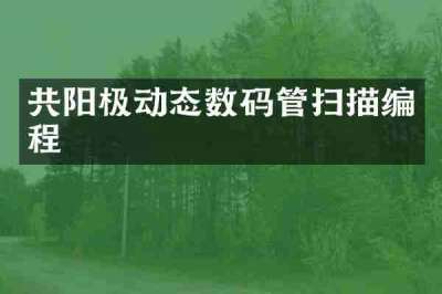 共阳极动态数码管扫描编程