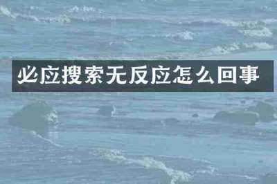 必应搜索无反应怎么回事