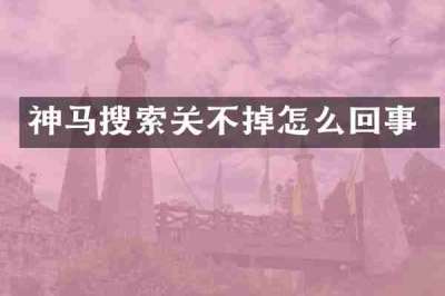 神马搜索关不掉怎么回事