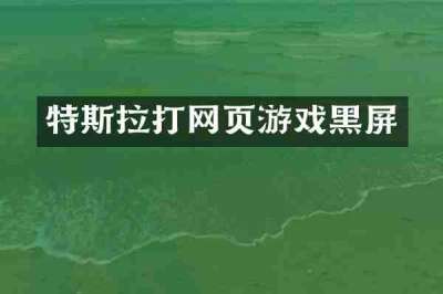 特斯拉打网页游戏黑屏