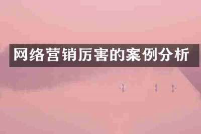 网络营销厉害的案例分析