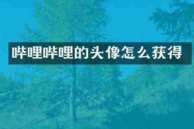 哔哩哔哩的头像怎么获得