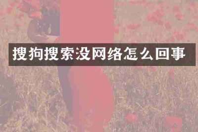 搜狗搜索没网络怎么回事