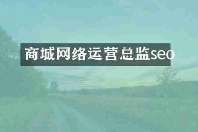 商城网络运营总监seo