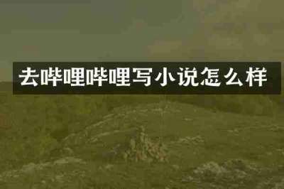 去哔哩哔哩写小说怎么样