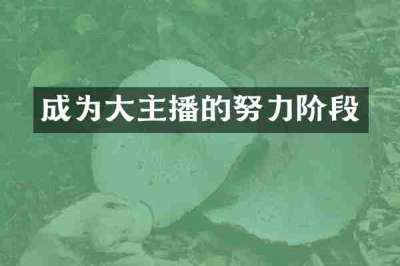 成为大主播的努力阶段