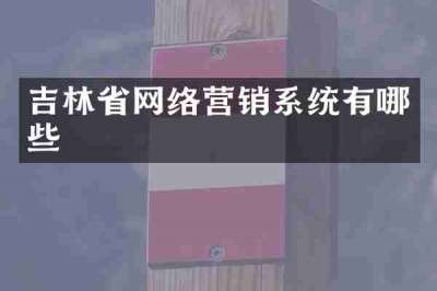 吉林省网络营销系统有哪些