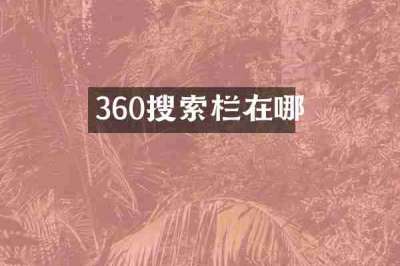 360搜索栏在哪