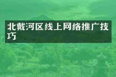 北戴河区线上网络推广技巧