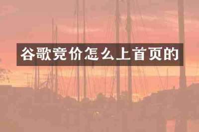 谷歌竞价怎么上首页的