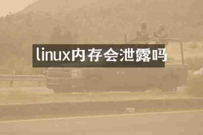 linux内存会泄露吗