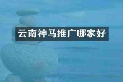 云南神马推广哪家好